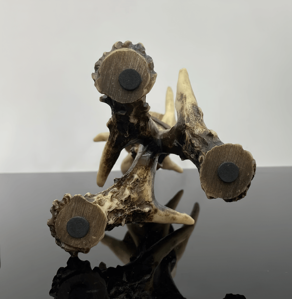 Gothic Antler Candle Holder with Rustic Bone Finish showcasing detailed antler designs and a sturdy base.