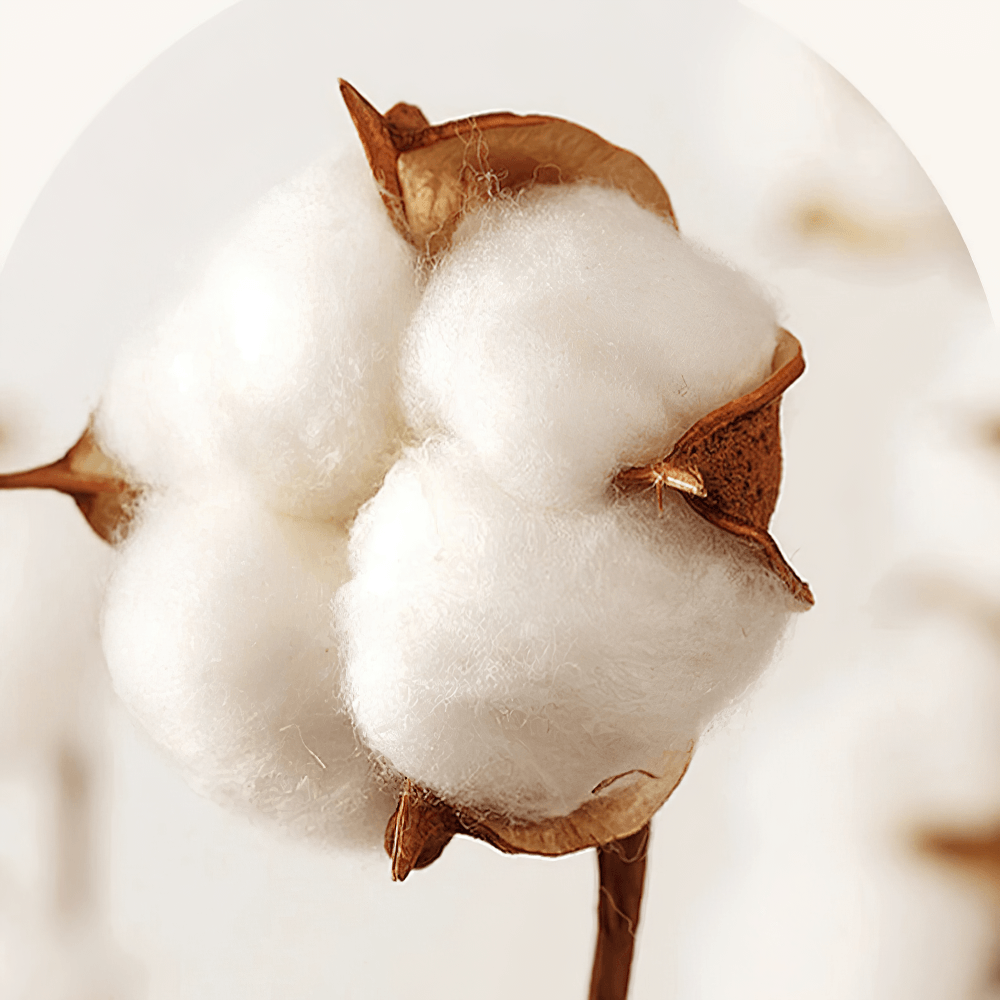 Long Staple Cotton Sateen Jacquard Bedding Set - Luxurious long staple cotton fiber ready for bedding.